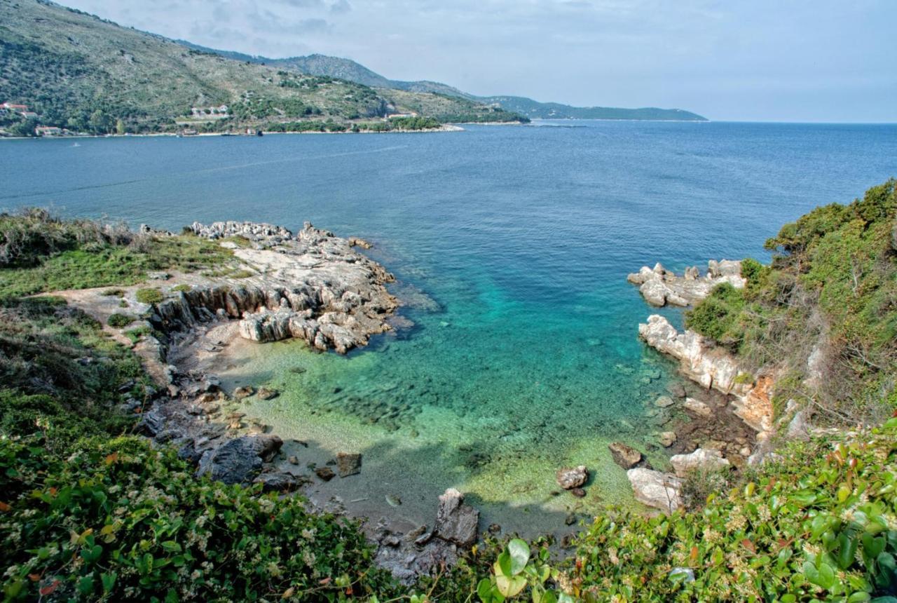 Kamelia * Kassiopi